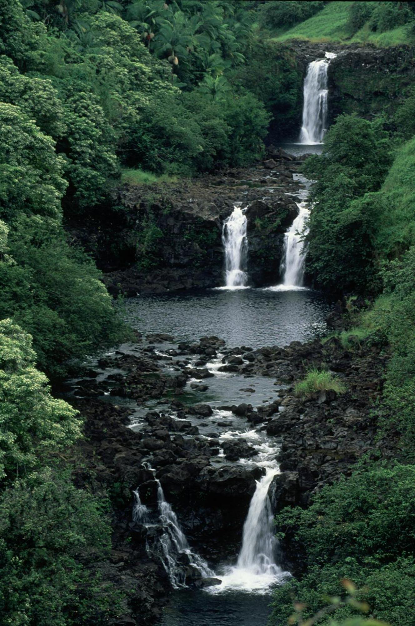 Waipio Valley Botanical Garden With Waterfall & Beach Access! Apartment Exterior photo