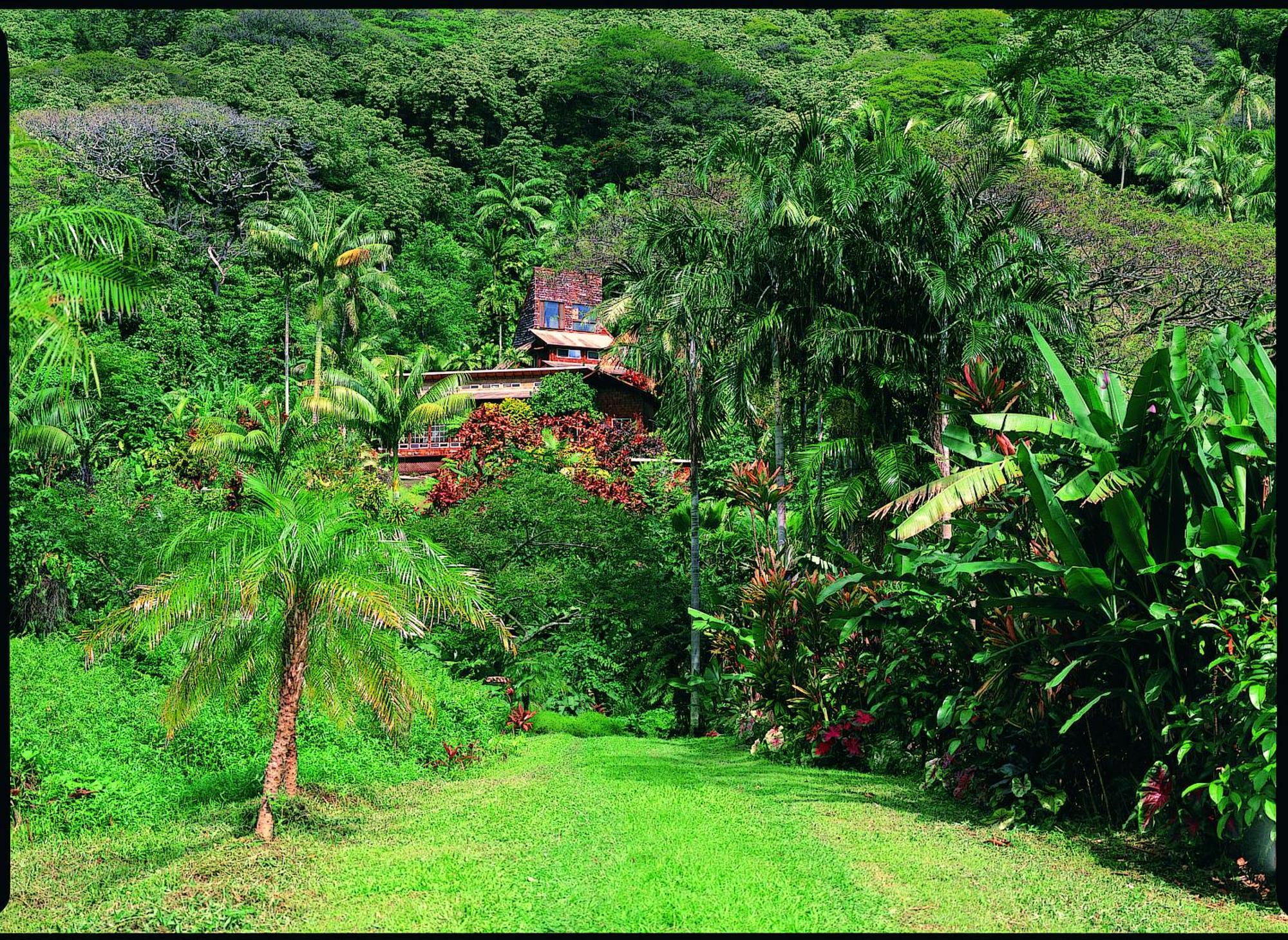 Waipio Valley Botanical Garden With Waterfall & Beach Access! Apartment Exterior photo