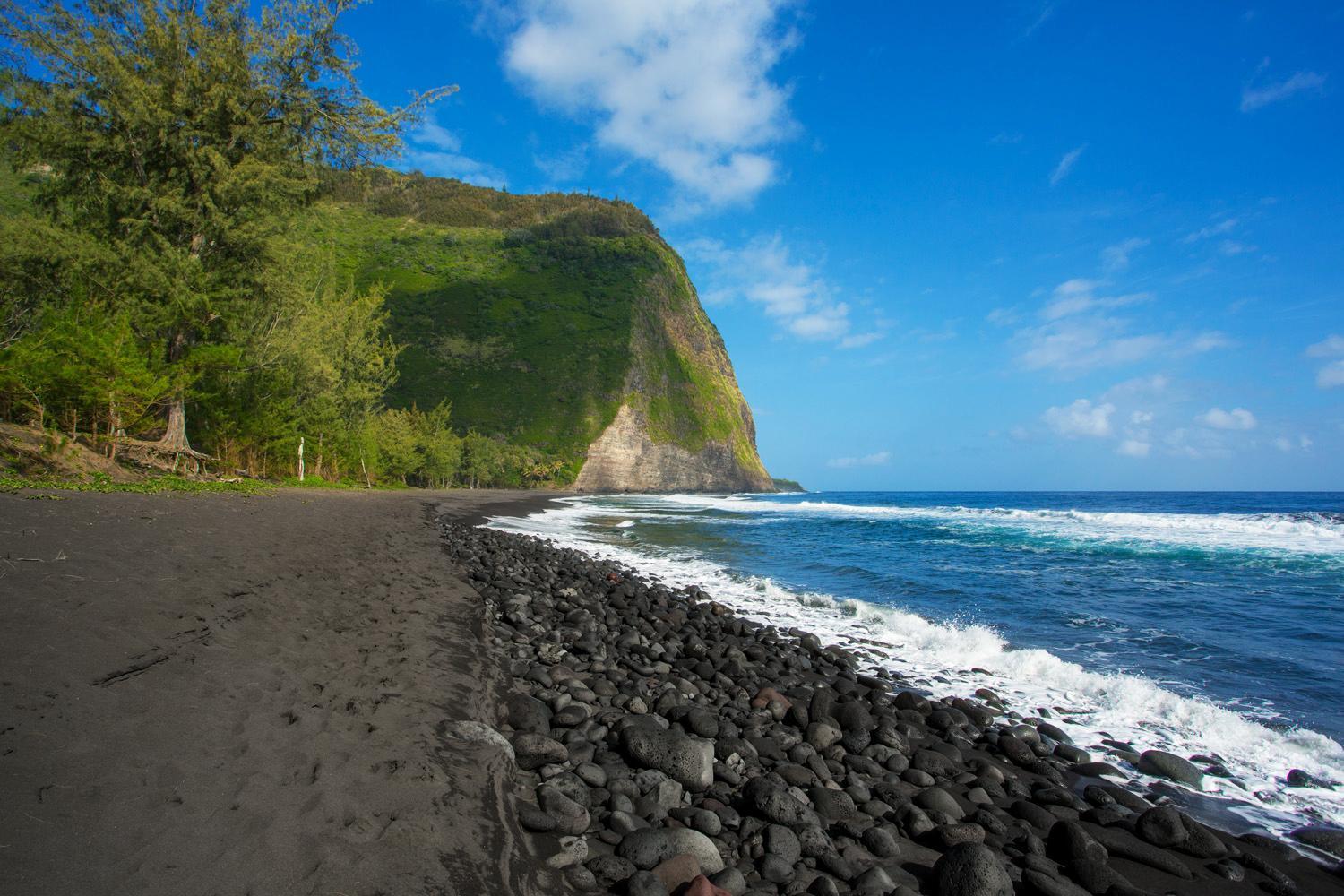 Waipio Valley Botanical Garden With Waterfall & Beach Access! Apartment Exterior photo